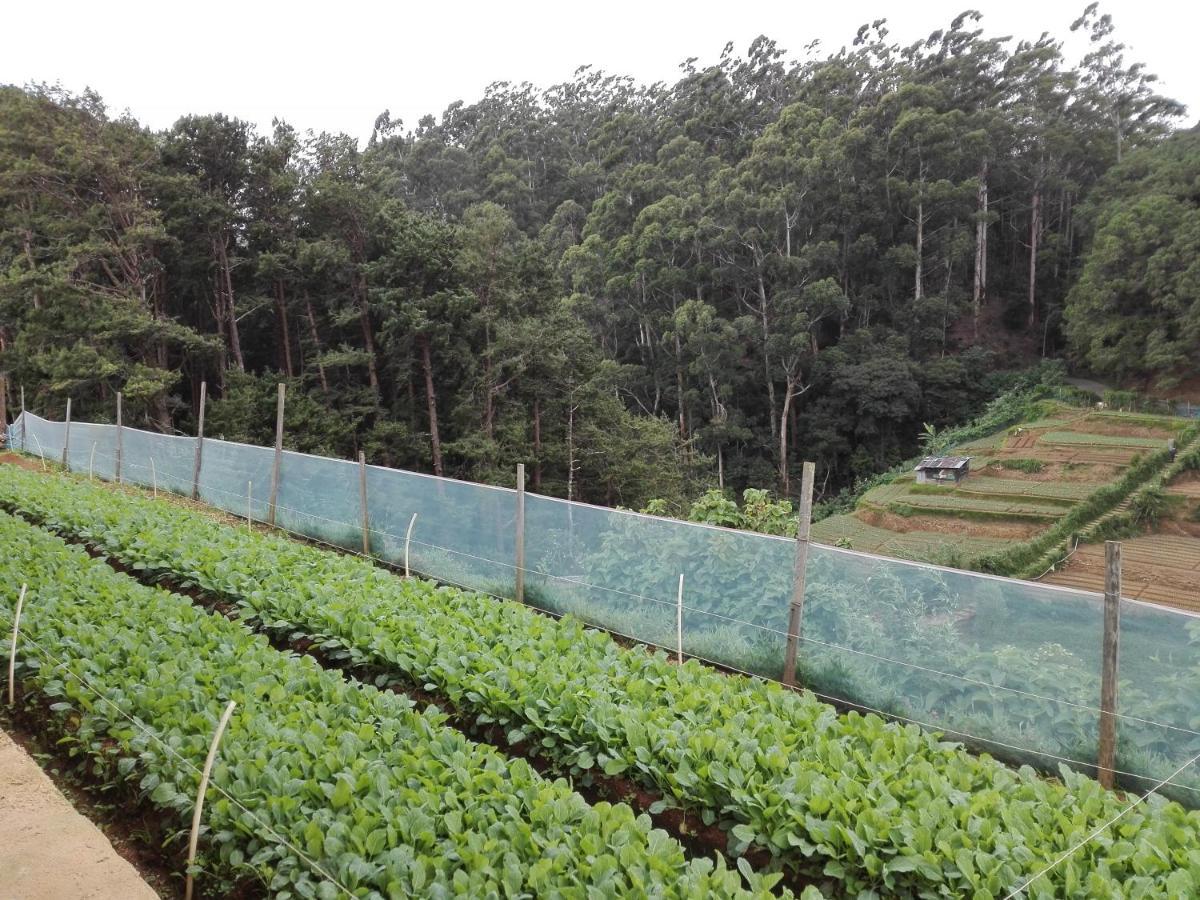 Keshiya Holiday Home Nuwara Eliya Eksteriør bilde