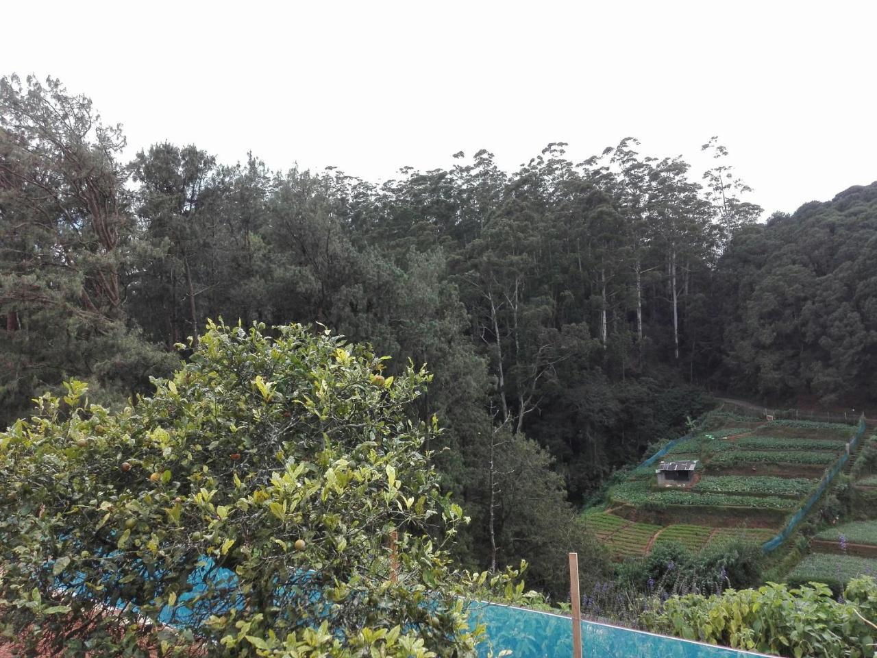 Keshiya Holiday Home Nuwara Eliya Eksteriør bilde