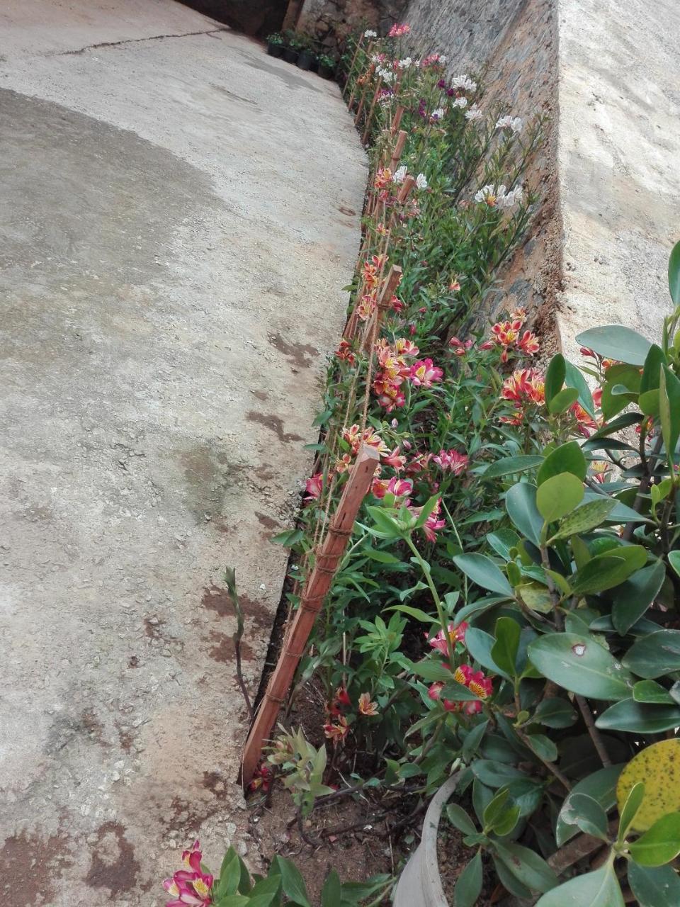 Keshiya Holiday Home Nuwara Eliya Eksteriør bilde